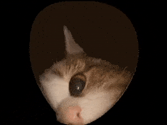 3a7b1588.gif